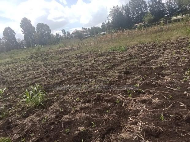 Quick Distress Sale! 1/8 Acre Prime Plots in Merisho Matasia