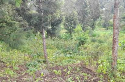Distress Sale! Half Acre 1km From Shell Petrol STN Matasia