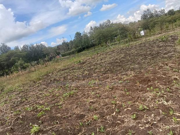 Prime Eighth Acre Plots in Merisho, Matasia