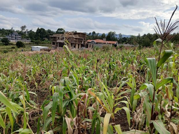 Prime Quarter Acre (100by100) for Sale in Olkeri, Forestline