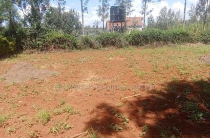 Distress! 100 by 100 Redsoil Plot in Matasia