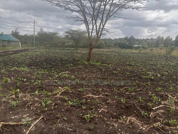 Prime Eighth Acre Plots in Merisho, Matasia