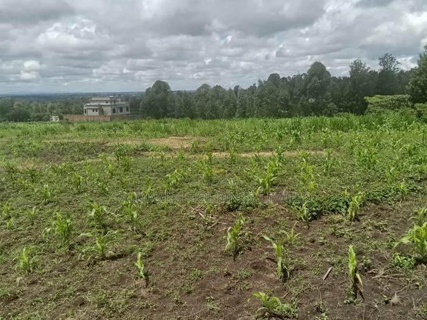 3 Prime Half Acre Plots 200 Metres Off Tarmac in Matasia