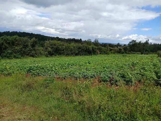 Distress! Prime Redsoil 50 by 100 Plot in Upper Matasia