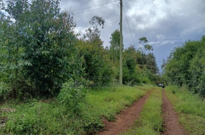 Distress! Prime Redsoil 50 by 100 Plot in Upper Matasia