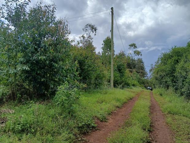 Distress! Prime Redsoil 50 by 100 Plot in Upper Matasia