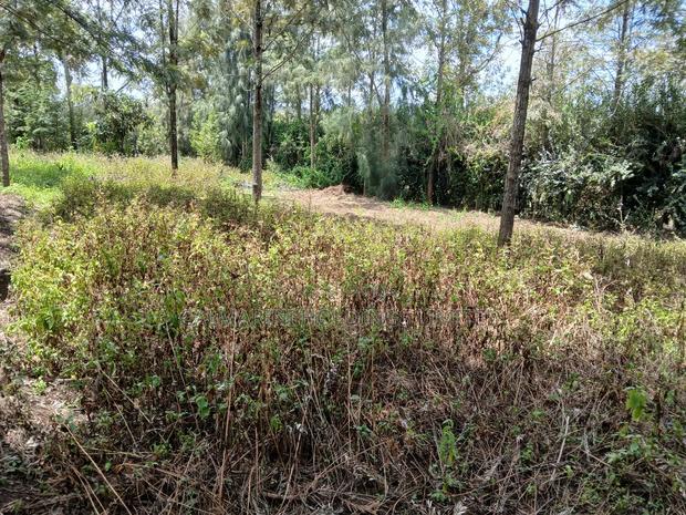Distressed! A Full Eighth Acre in Kaurrai, Upper Matasia