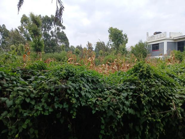 Prime Redsoil Eighth Acre Plots Off Lemiso Road, Ngong Town