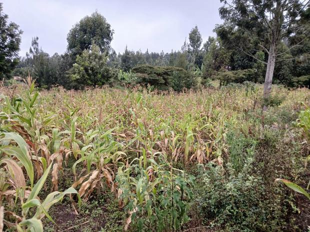 Quick Distress Sale! 100 by 100 Plot in Kahara, Ngong