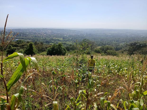 Distress Sale! Prime Redsoil Acre 200 MTRS Off Tarmac, Ngong