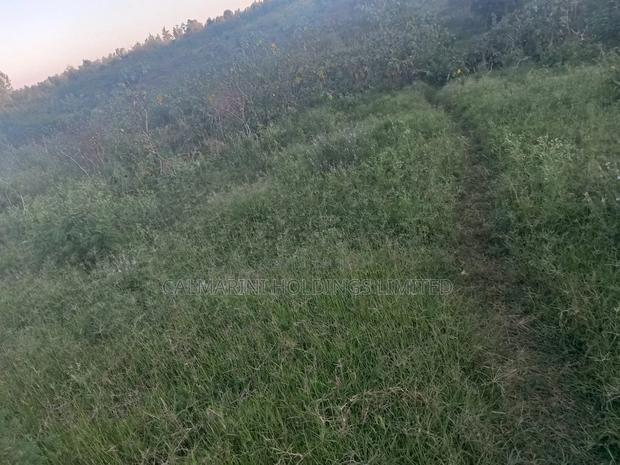 Quarter Acre in a Gated Community in Matasia