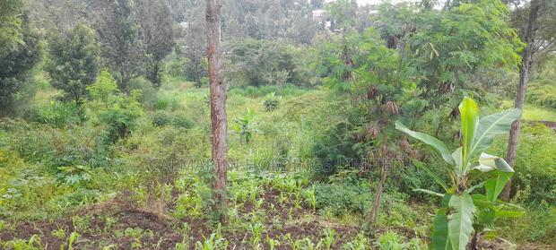 Distress Sale! Half Acre 1km From Shell Petrol STN Matasia