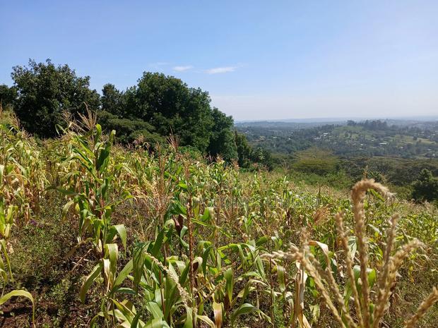 Distress Sale! Prime Redsoil Acre 200 MTRS Off Tarmac, Ngong