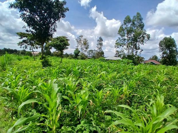 Prime Quarter Acre (0.104ha) in Olkeri, Ngong