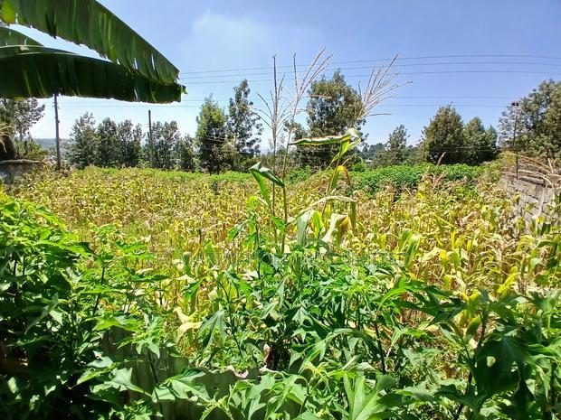 Prime Redsoil 50 by 100 Plot in a Gated Community in Matasia