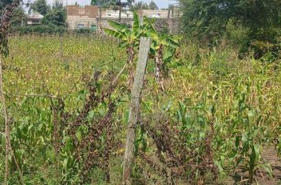 Eighth Acre for Sale in Merisho, Matasia