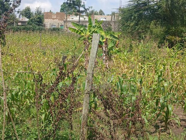 Eighth Acre for Sale in Merisho, Matasia