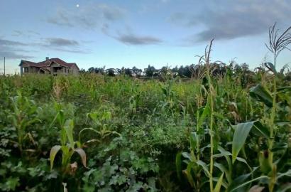 Prime 100 by 100 Plot in Upper Matasia Gated Neighborhood