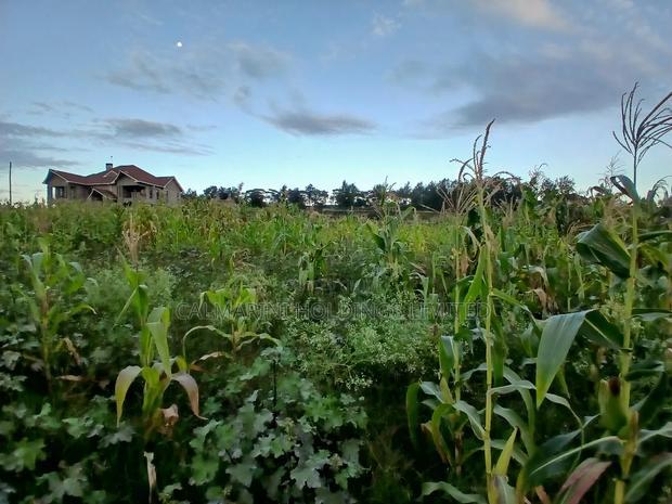 Prime 100 by 100 Plot in Upper Matasia Gated Neighborhood