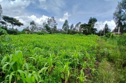 Prime Quarter Acre (0.104ha) in Olkeri, Ngong