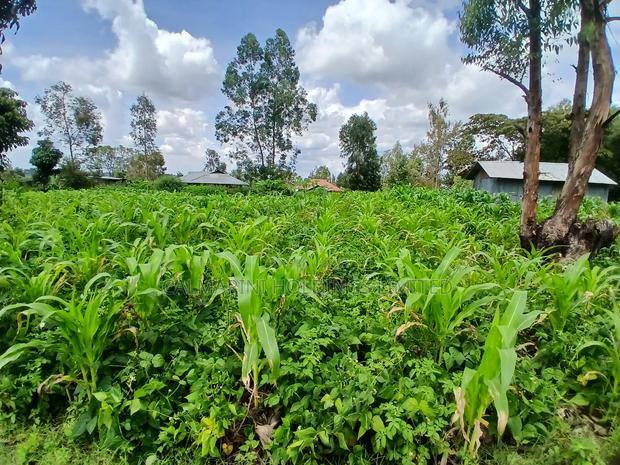 Prime Quarter Acre (0.104ha) in Olkeri, Ngong