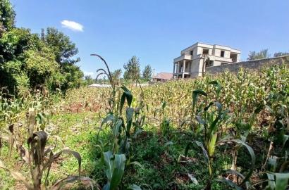 Quick Sale! Kerarapon, Karen 1/2 Acre Land-Gated Community