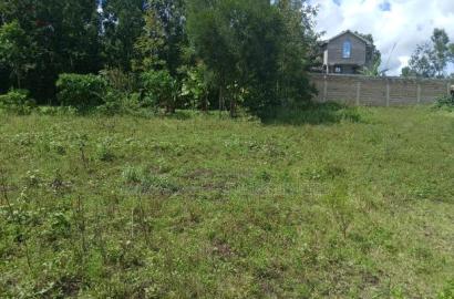 Quick Distress Deal! Quarter Acre Plot in Matasia Near Shell