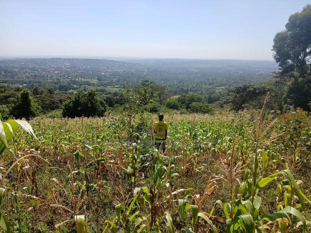 Distress Sale! Prime Redsoil Acre 200 MTRS Off Tarmac, Ngong