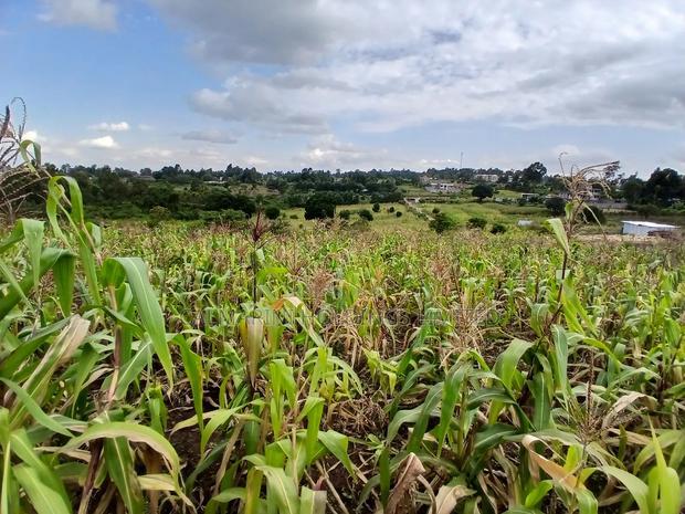 Prime Quarter Acre (100by100) for Sale in Olkeri, Forestline