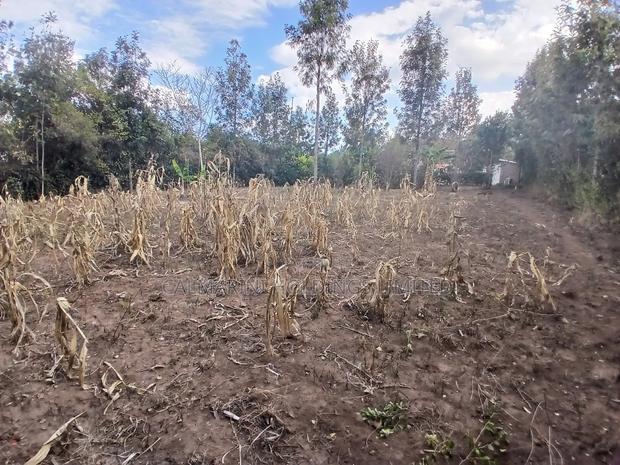 Very Distressed Eighth Acre Plot in Karen View, Matasia Near Tarmac