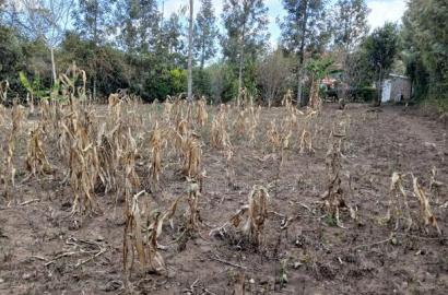Very Distressed Eighth Acre Plot in Karen View, Matasia Near Tarmac
