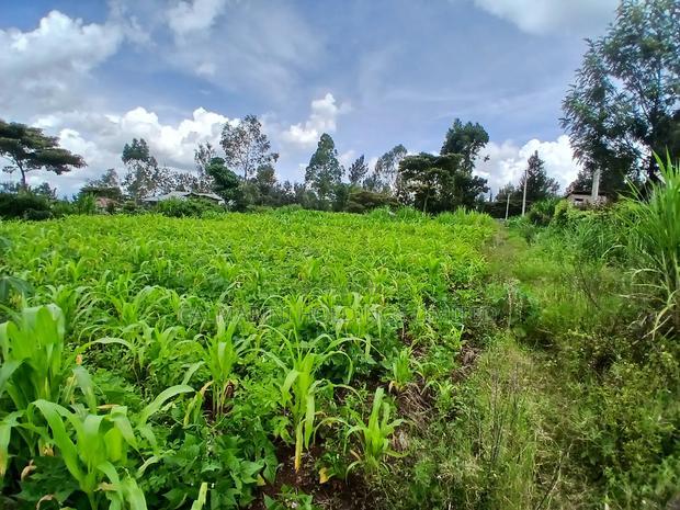 Prime Quarter Acre (0.104ha) in Olkeri, Ngong