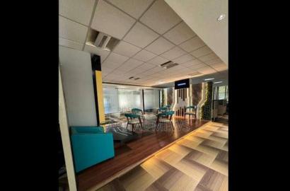 Well Nurtured Offices in a Nice Quiet Place