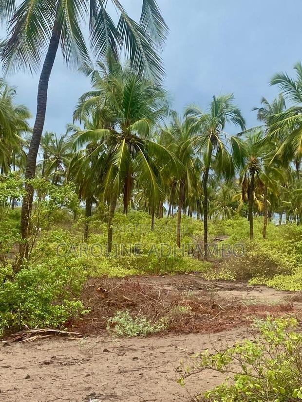 1/4 Acre Second Row Beach Plot.