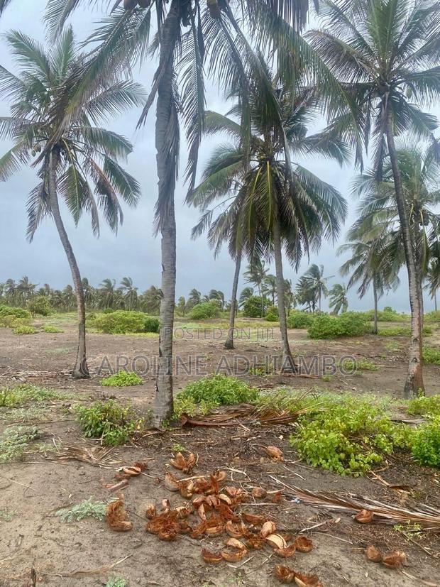 1/4 Acre Second Row Beach Plot.