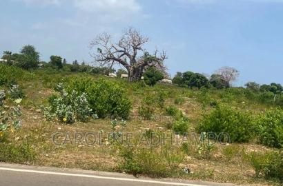 50/100 3rd Beach Plot Bofa Kilifi