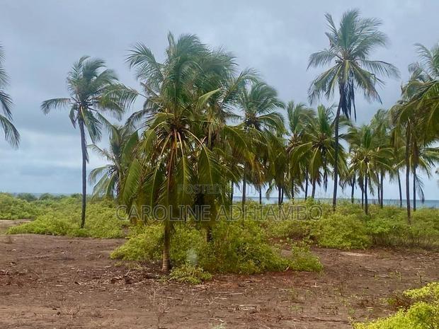 1/4 Acre Second Row Beach Plot.