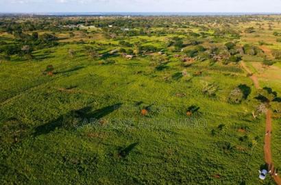 Gogoni Plots
