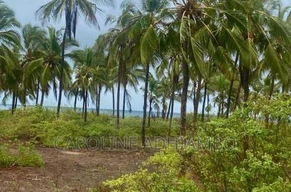 1/4 Acre Second Row Beach Plot.