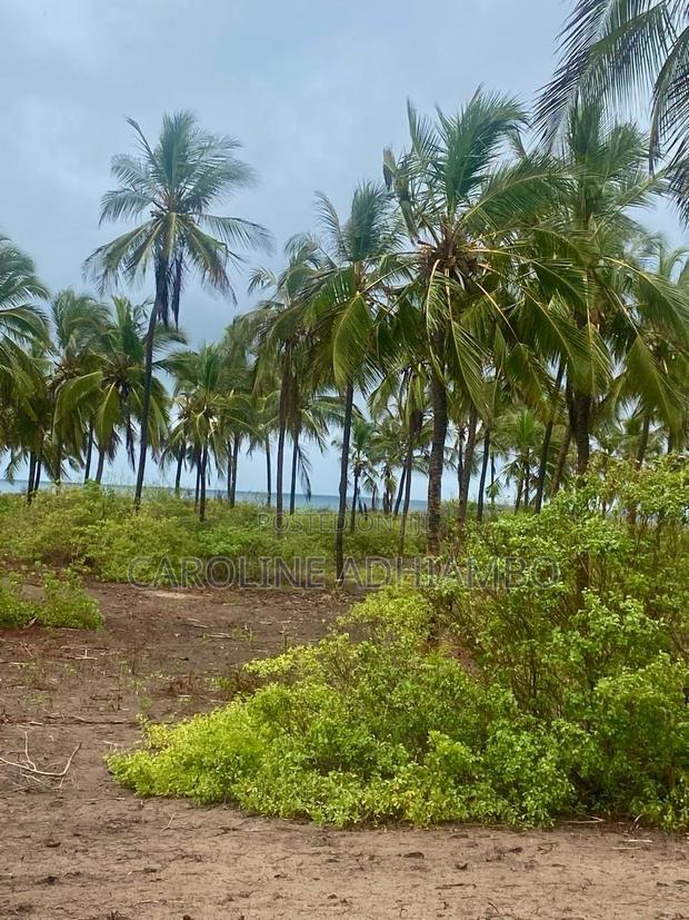 1/4 Acre Second Row Beach Plot.