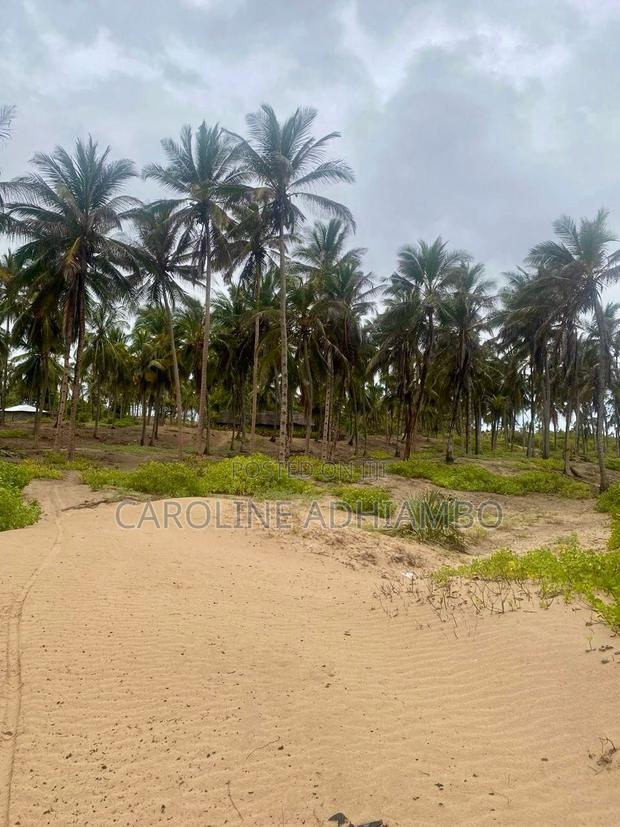 1/4 Acre Second Row Beach Plot.