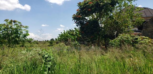 Plot for Sale