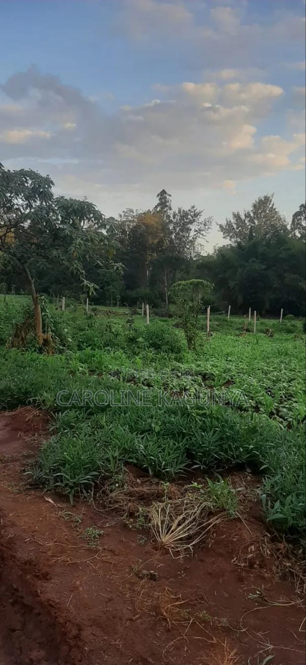 Plot for Sale