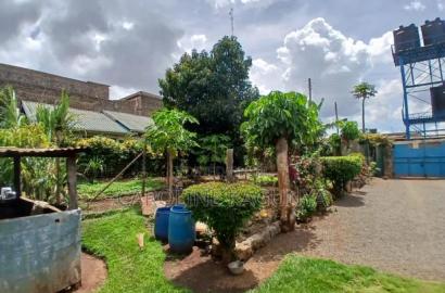 Plot for Sale