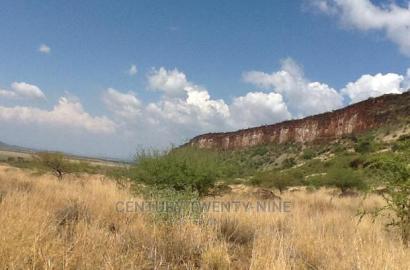 Kwenia Rupell Vulture Sanctuary Site