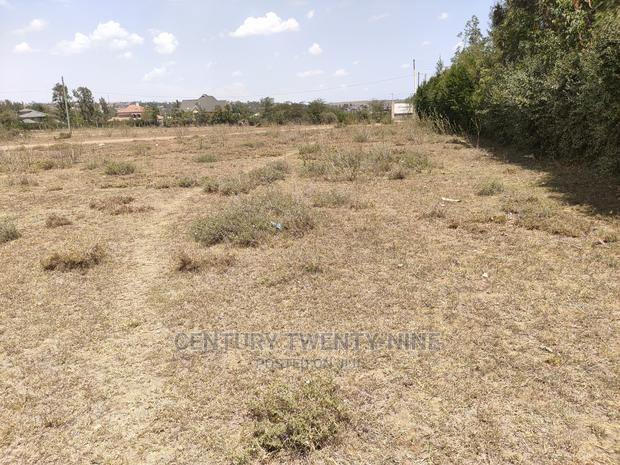 Sharon'S Sabaki Land