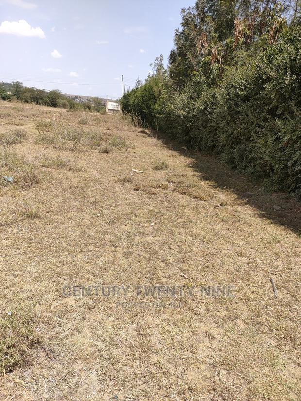 Sharon'S Sabaki Land