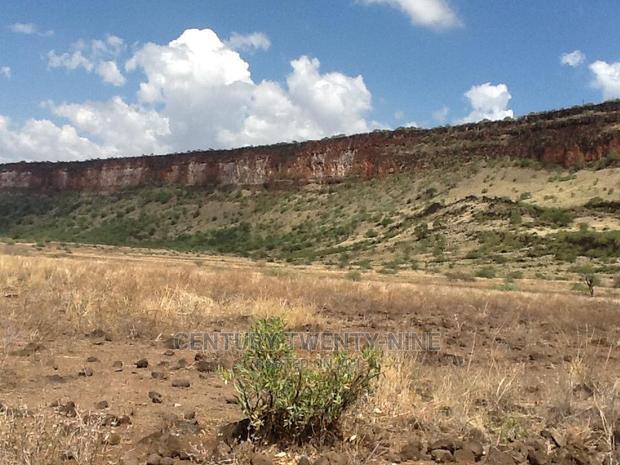 Kwenia Rupell Vulture Sanctuary Site
