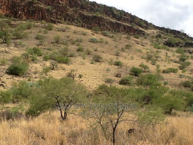 Kwenia Rupell Vulture Sanctuary Site