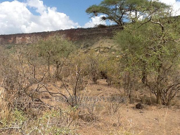 Kwenia Rupell Vulture Sanctuary Site